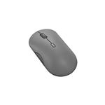 Lenovo 350 Bluetooth Silent Mouse (Luna Grey)