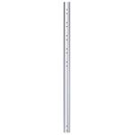 Neomounts  FPMA-CP100 / 100 cm extension pole for FPMA-C200/C400SILVER/PLASMA-C100 / Silver